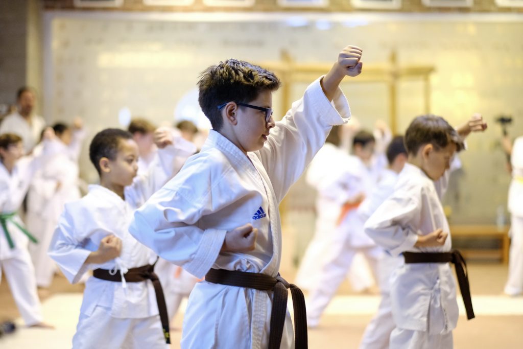 cocuklar İçin Karate Kursu, Aikido Kursu, Taekwondo Kurslarinın Faydalari